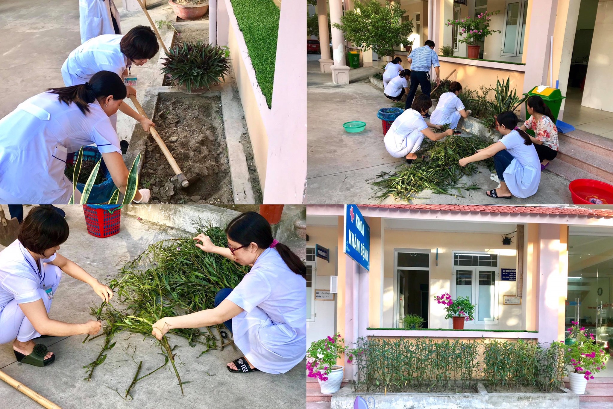 Khi Bệnh viện là mái nhà xanh - sạch - đẹp . Bệnh viện YHCT Nghệ An