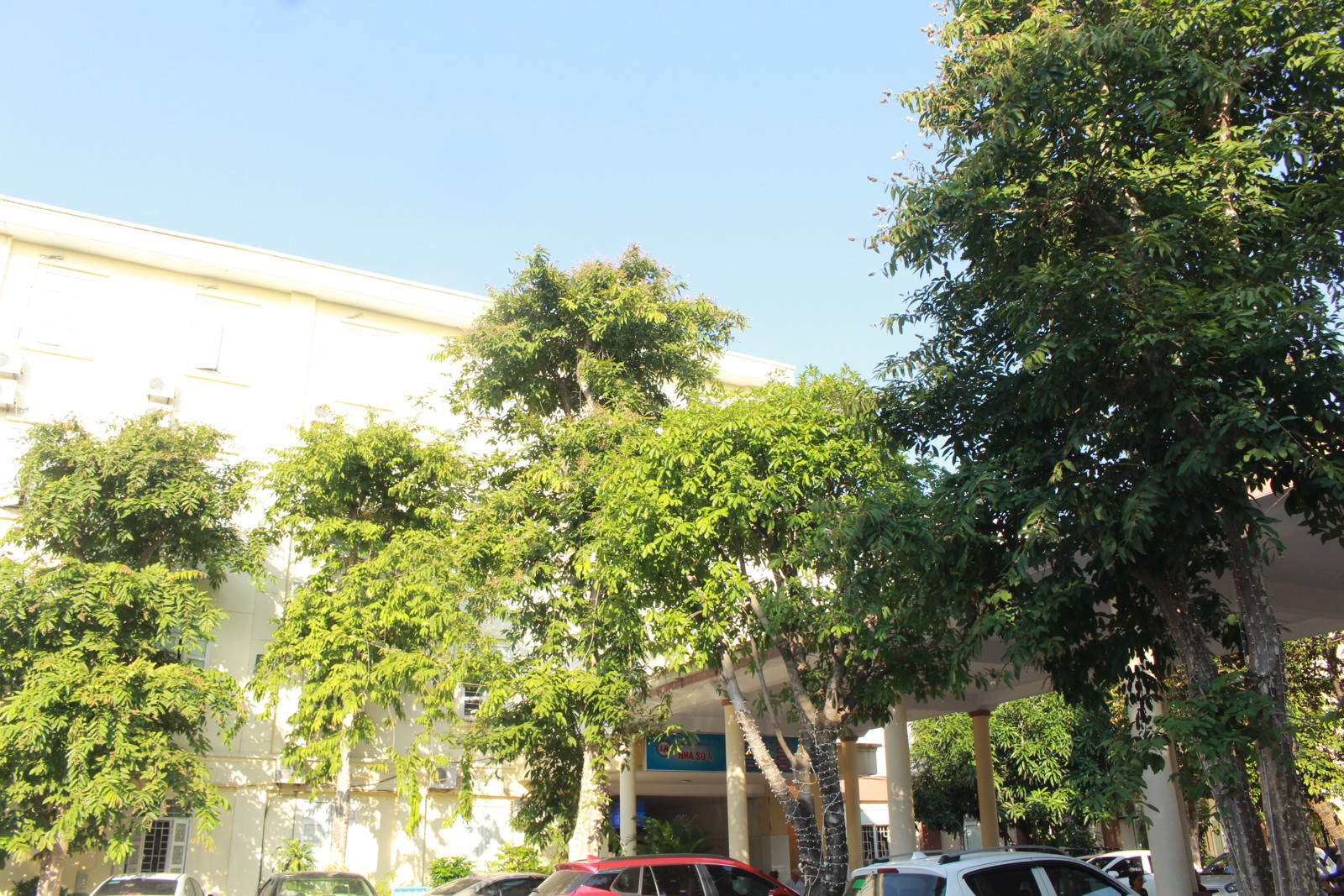 Media.NewsItem.ImageAlternateTextFormat